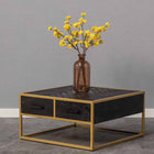 Mangohouten salontafel - zwart/goud 