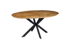 Mangohouten Eettafel Ovaal Julia 300x130 cm (2,5 cm)